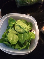 spinach and red leafy romaine